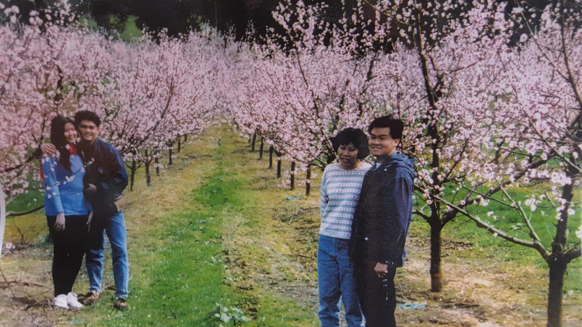 Waitomo Orchard Estate B&B Otorohanga Eksteriør bilde